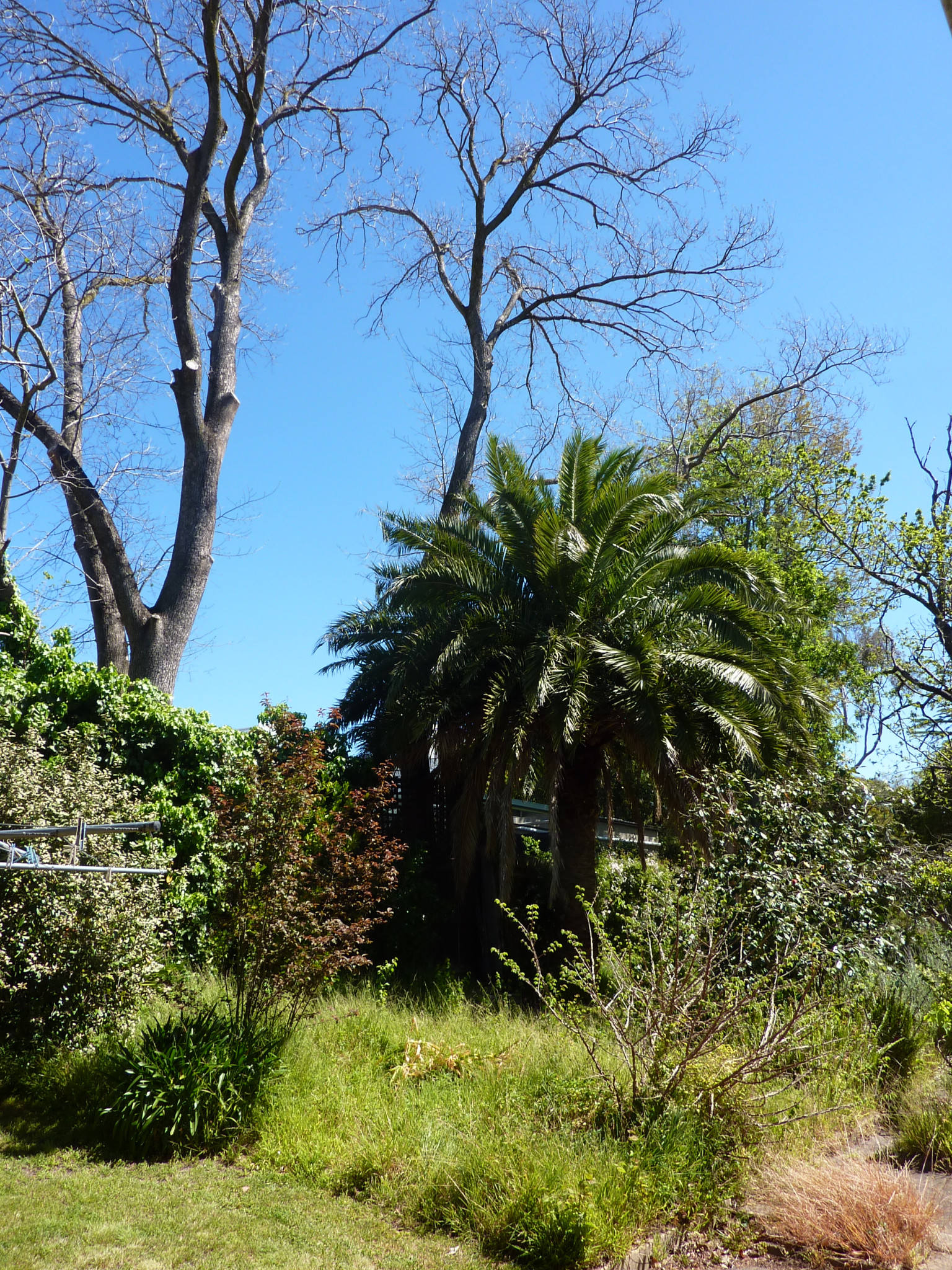 P1060055.JPG