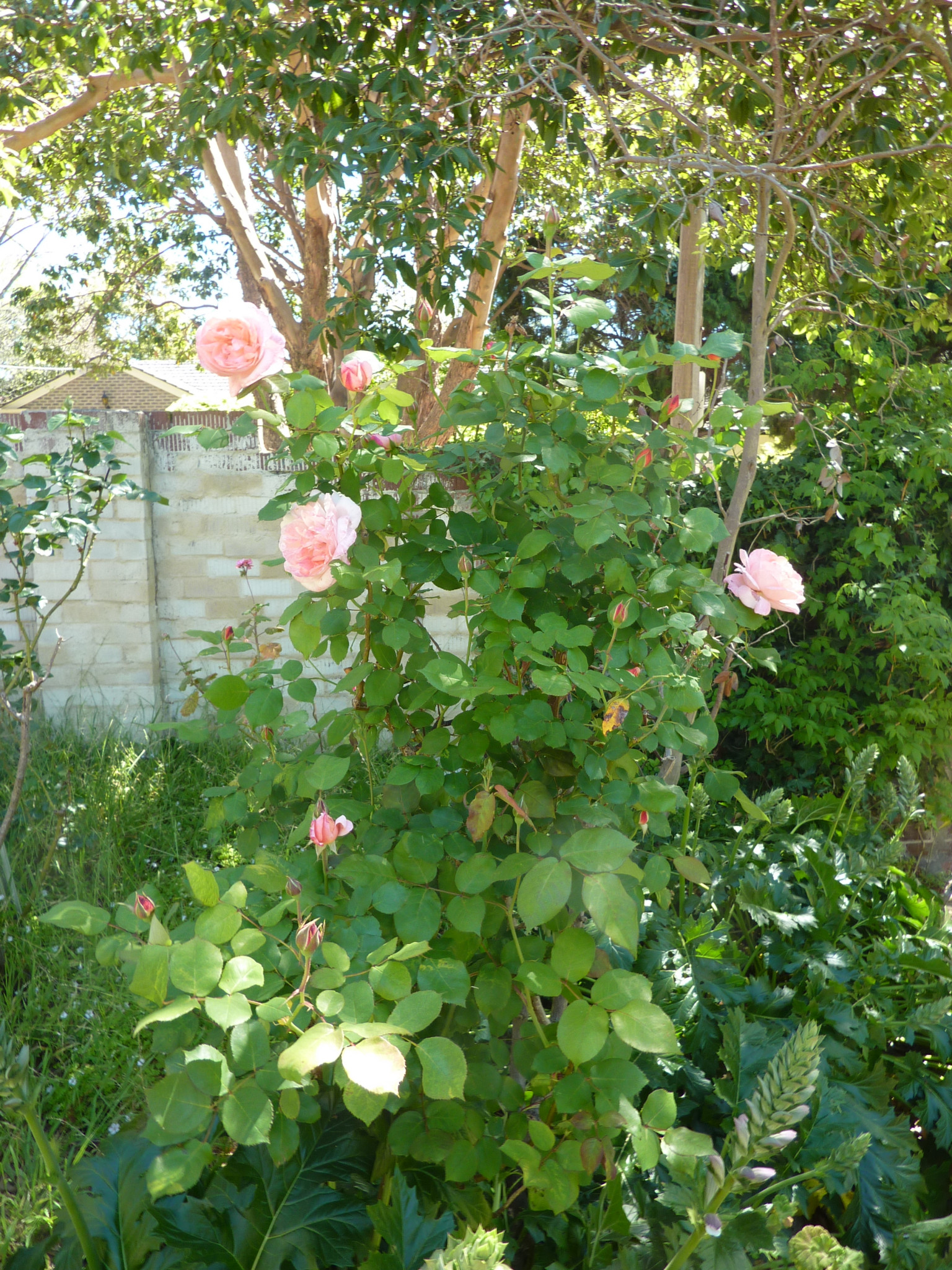 P1060064.JPG