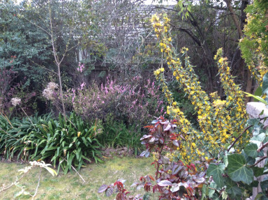 2015-09-10-11.42.30.JPG