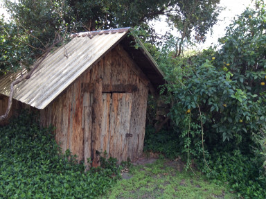 2015-09-10-11.43.40.JPG