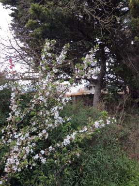 IMG_0246.JPEG
