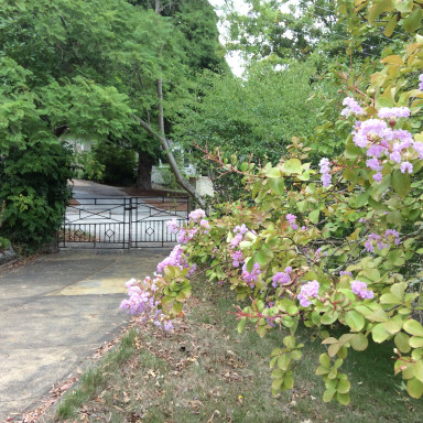 IMG_0763.JPEG