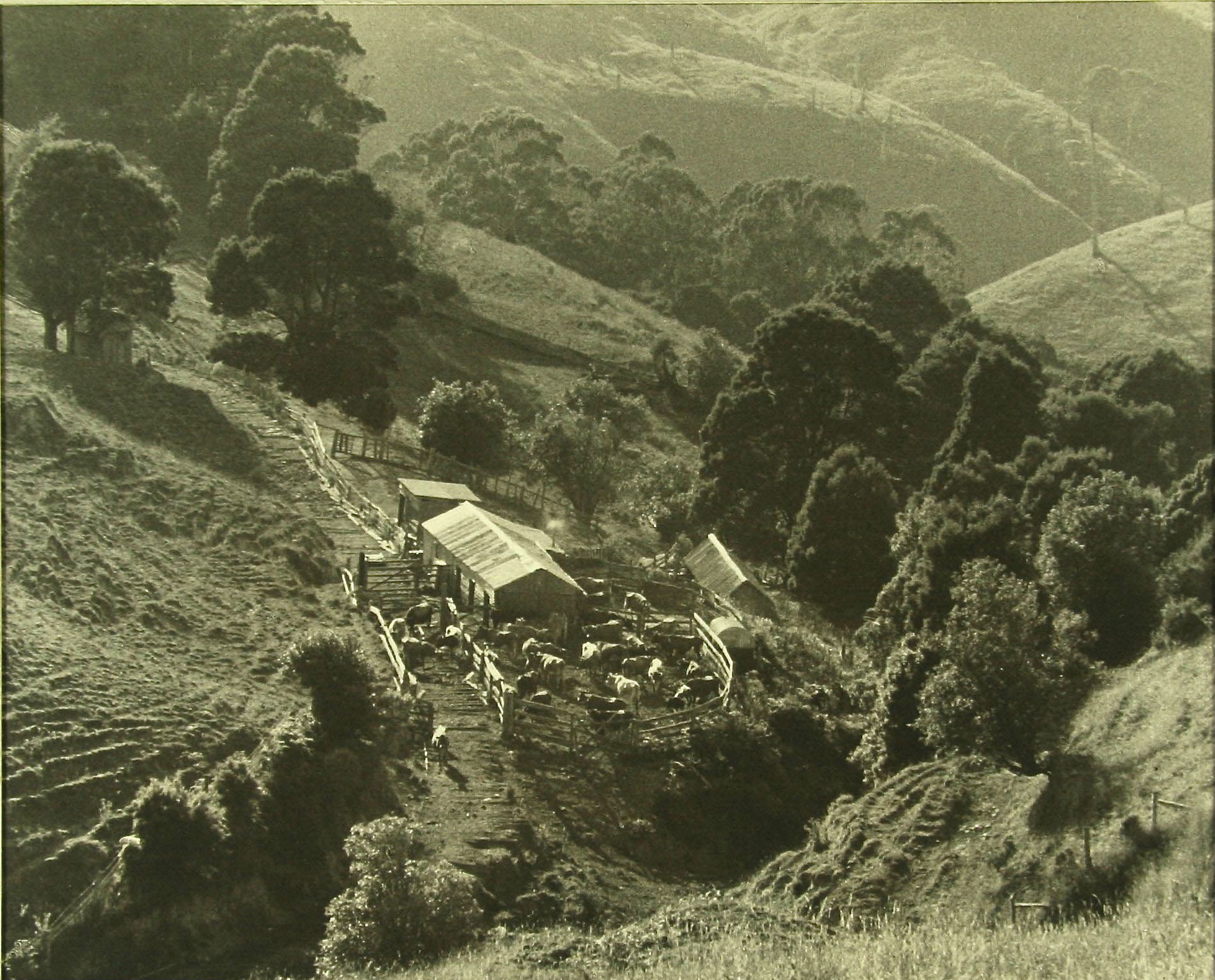 00,330-Harry-Cleveland,-Otway-farm,-1957.jpg
