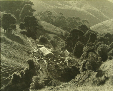 00,330-Harry-Cleveland,-Otway-farm,-1957.jpg