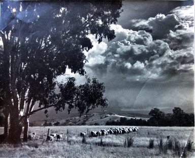 Approaching-Storm.JPG