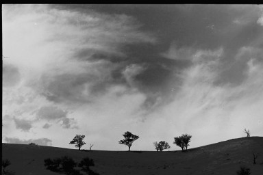 DSC00239.JPEG